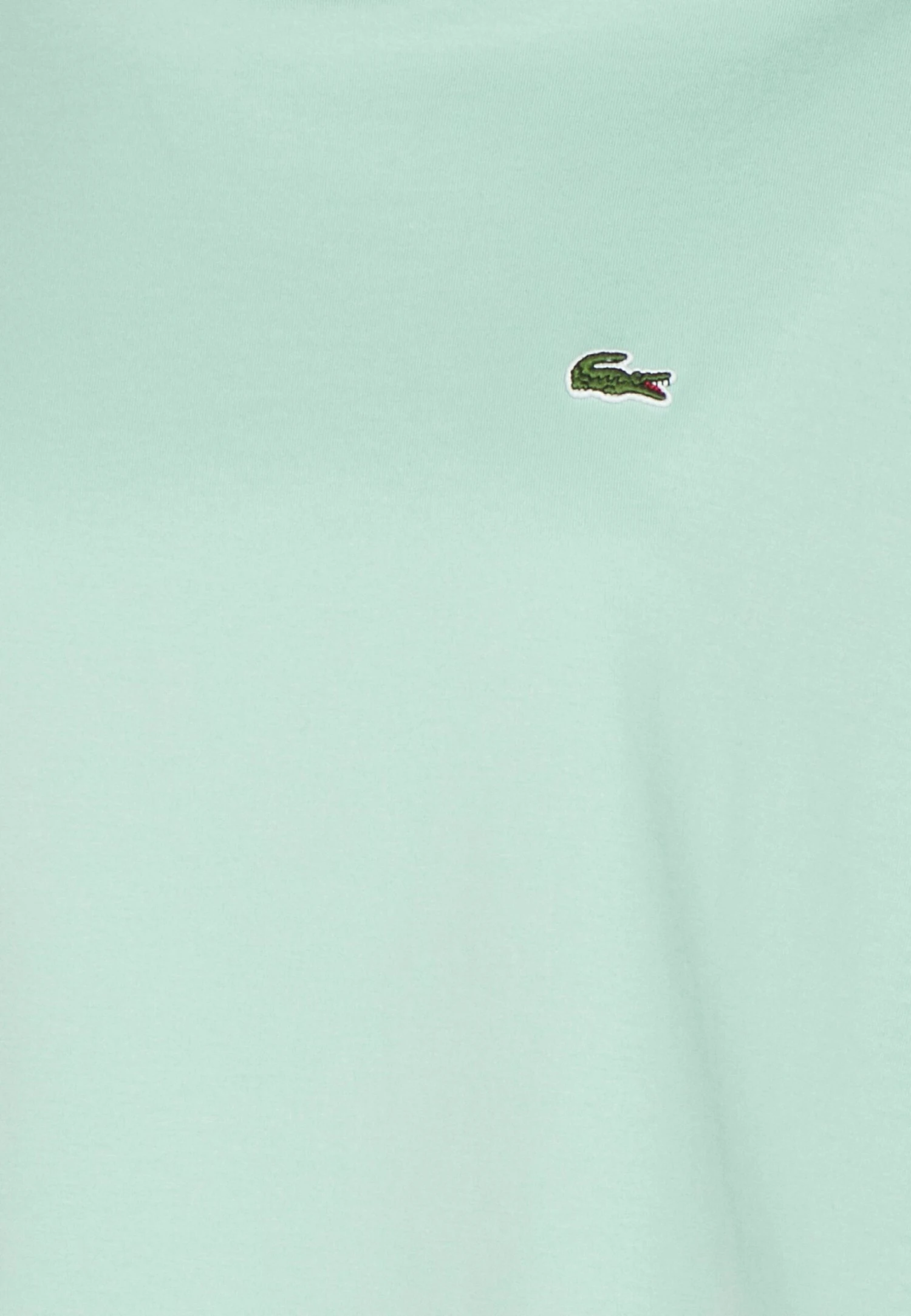 Lacoste T-Shirt BasicPastille Mint Donna T-shirt E Top LA221D09W-M11 5 Lacoste T-Shirt BasicPastille Mint Donna T-shirt E Top LA221D09W-M11 - immagine 5